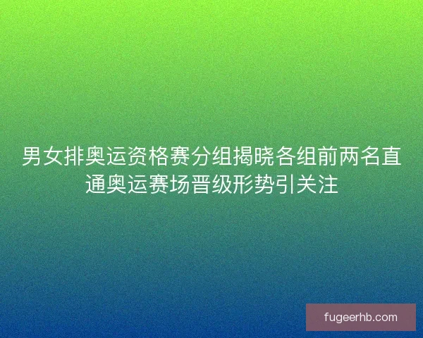 男女排奥运资格赛分组揭晓各组前两名直通奥运赛场晋级形势引关注