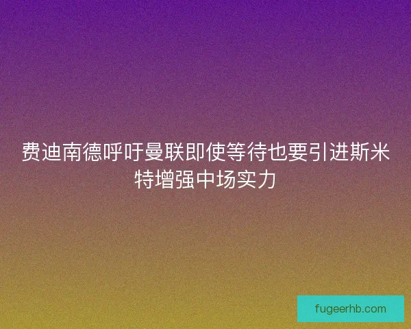 费迪南德呼吁曼联即使等待也要引进斯米特增强中场实力
